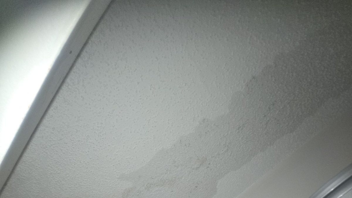 A spreading grey water stain across a textured ceiling running into the wall corner