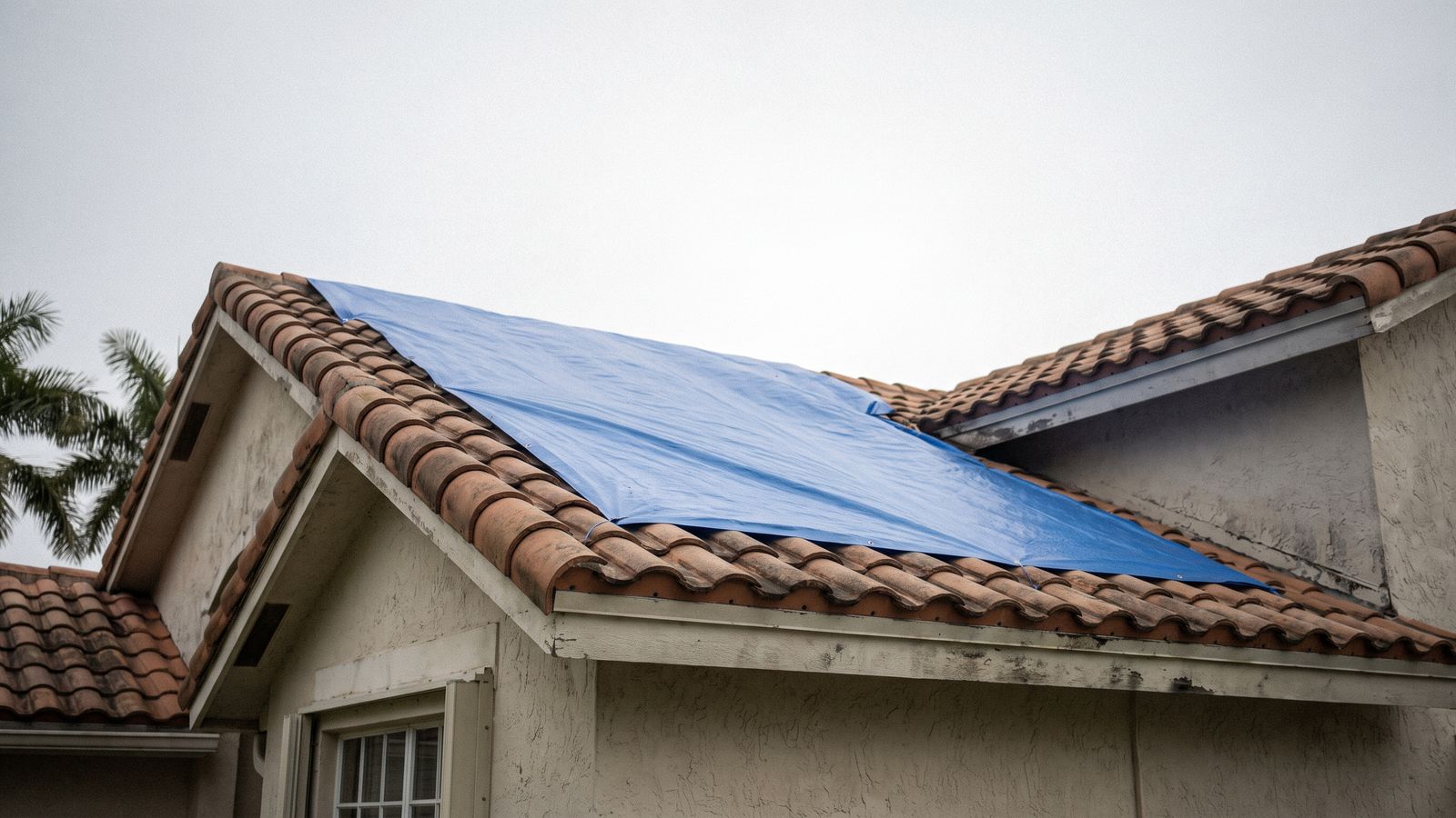 Emergency tarp over a barrel tile roof section Blue emergency tarp covering a stripped section of barrel tile roof on a stucco home after hurricane water damage