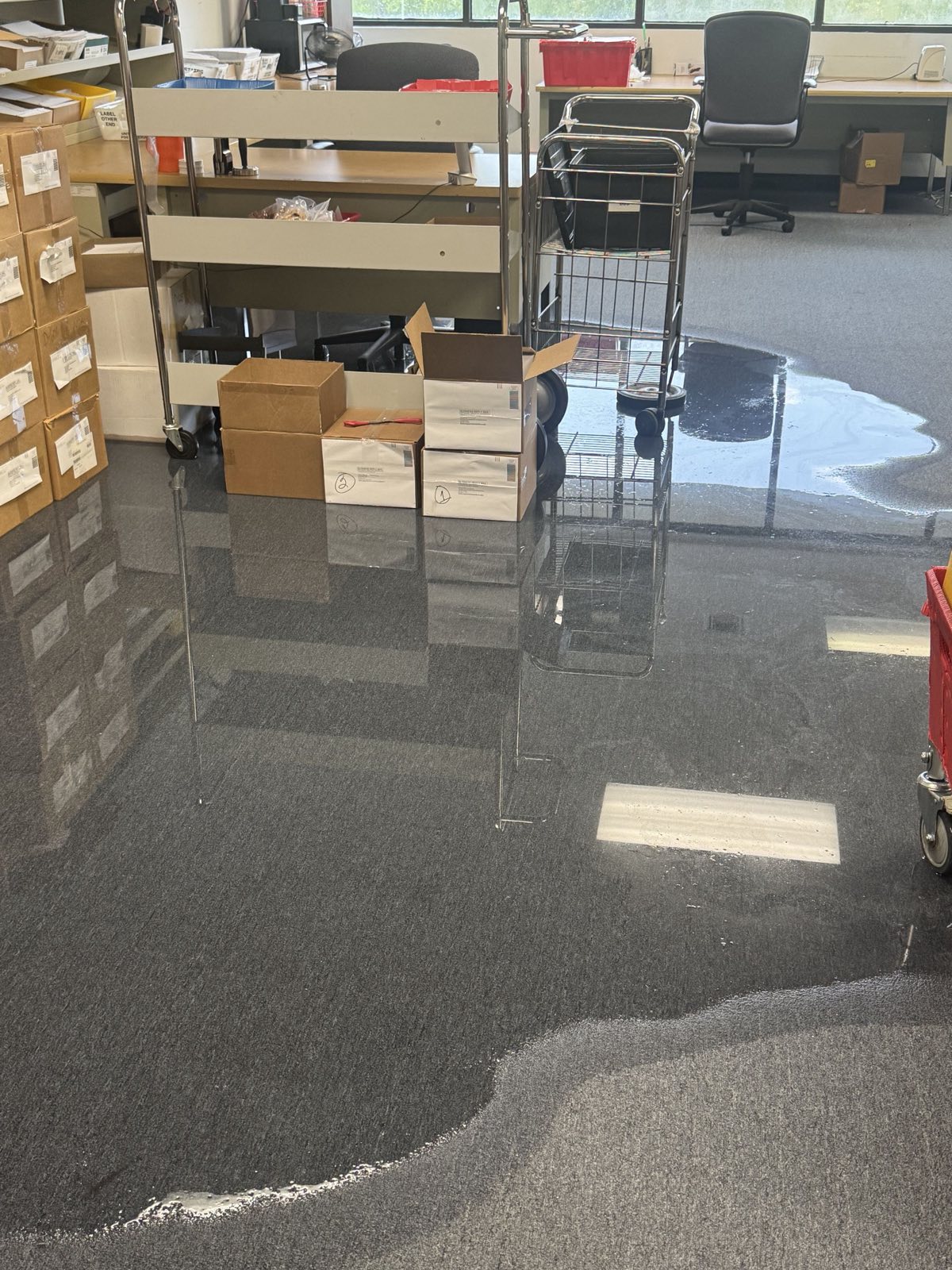 Documented Restoration Doctor commercial flood extraction and drying project in Miami, FL