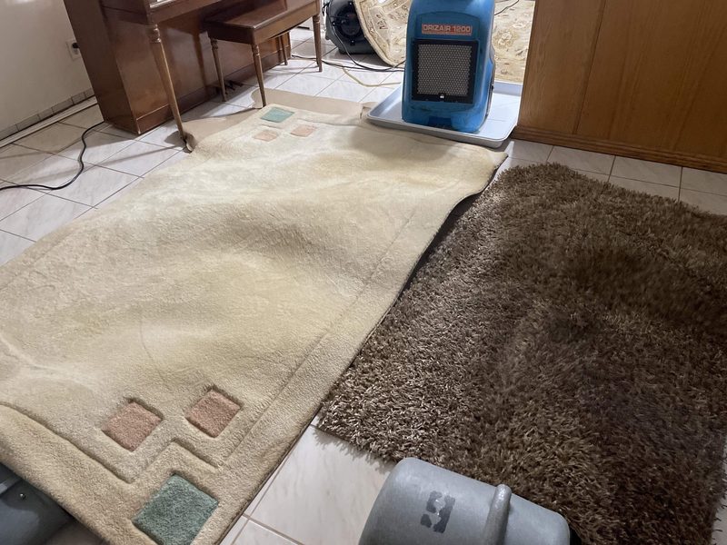 A cream rug and a brown shag rug lying on light tile in a Hollywood, FL living room on October 25, 2024, with a dehumidifier on a tray at the back and an air mover in the foreground, Restoration Doctor project documentation.