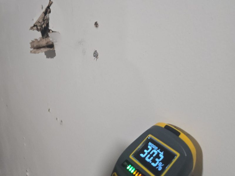 A pin-type moisture meter held against a painted wall beside torn-open drywall in a Miami Beach, FL unit, December 2025, its display reading 30.3 percent on the WOOD scale, Restoration Doctor project documentation.