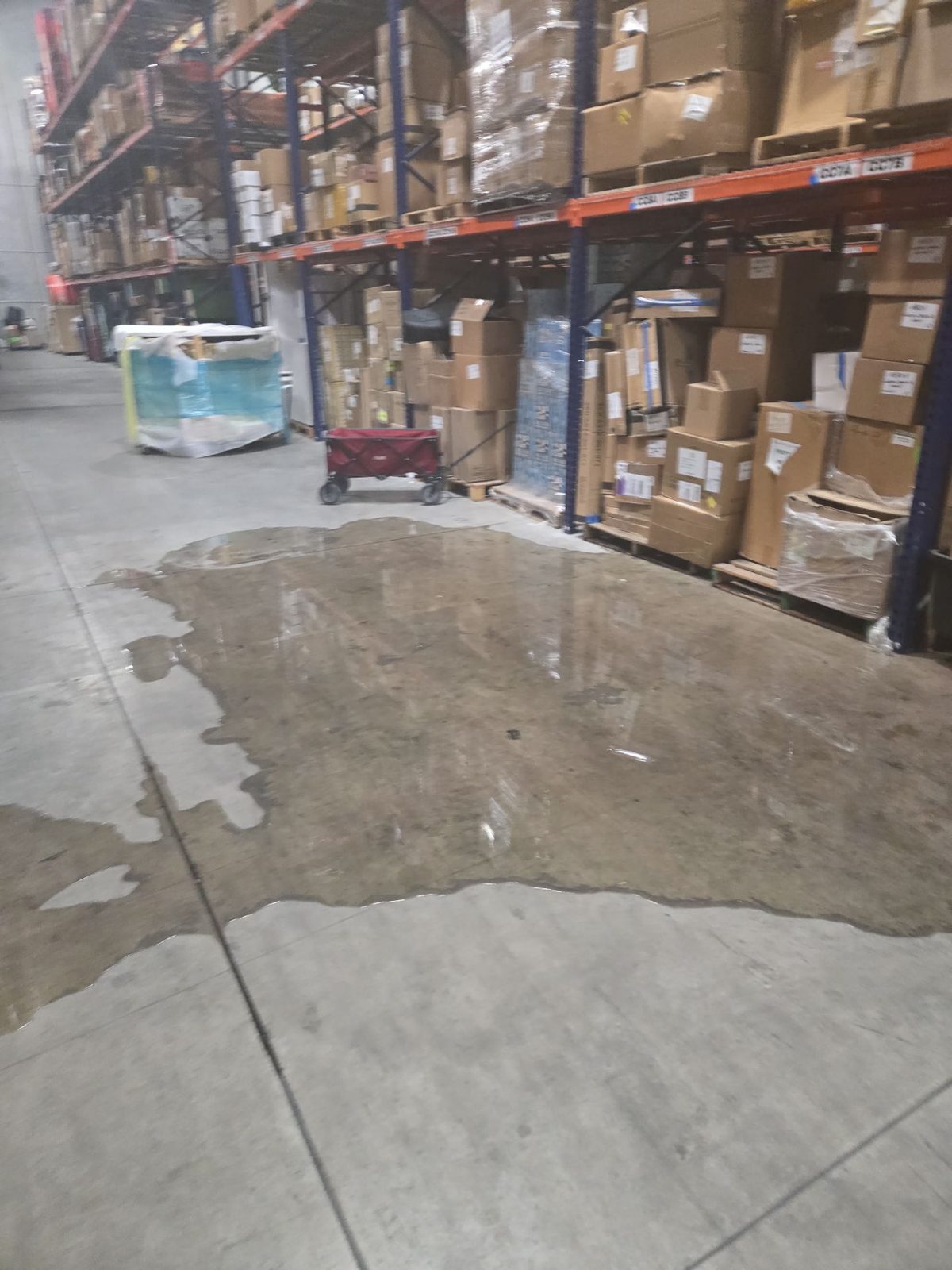 Before photo: water damage restoration project in Hialeah Gardens, FL — documented initial conditions by Restoration Doctor
